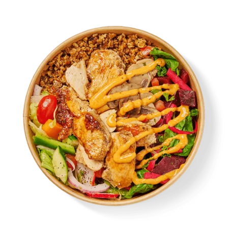 lebanese food in montreal byblos bowl